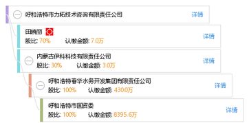 呼和浩特市力拓技术咨询有限责任公司